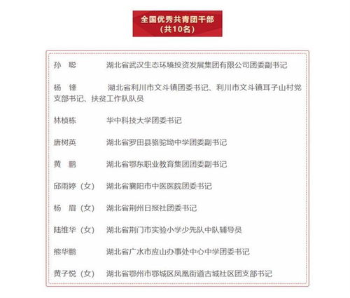 看 湖北有46个组织和个人获此项表彰