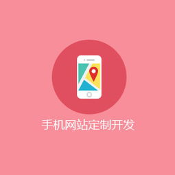 武汉网站定制开发 定制开发的好处