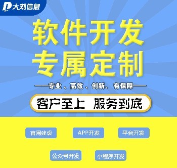 武汉软件开发公司