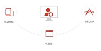 武汉金百瑞科技股份 武汉网站建设 武汉网站设计 商城网站建设 高端建站公司 金百瑞科技jbr