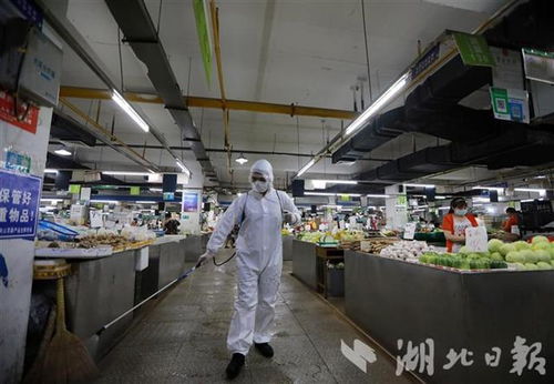 武汉农贸市场强化防疫消杀，助力网站开发优化城市管理