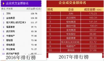 品牌房企进入武汉产品就变low 开发商 怪我咯