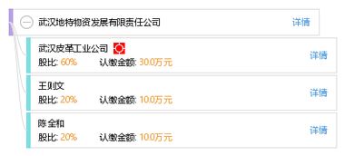 武汉地特物资发展有限责任公司 工商信息 信用报告 财务报表 电话地址查询 天眼查