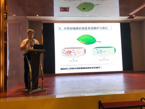 生态种植 药最网